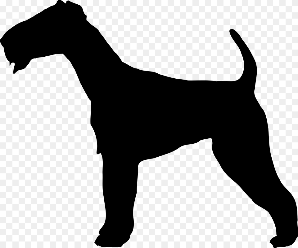 Belgian Draft Horse Silhouette, Gray Png