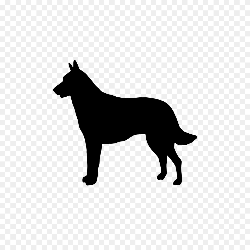 Belgian Shepherd Groenendael Clipart Collection, Silhouette, Animal, Canine, Dog Png