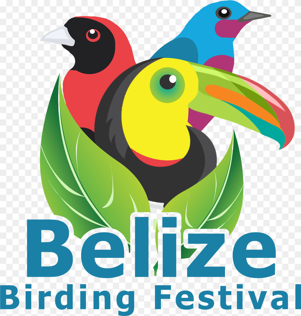 Belize Birding Festival Official Website Bird Logo, Advertisement, Poster, Animal, Beak Free Transparent Png