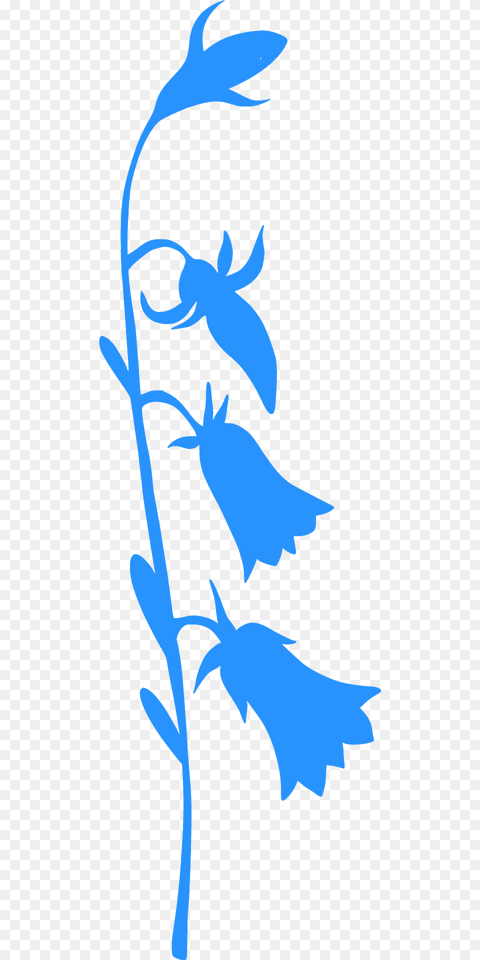 Bell Flower Silhouette, Leaf, Plant, Tree, Art Png