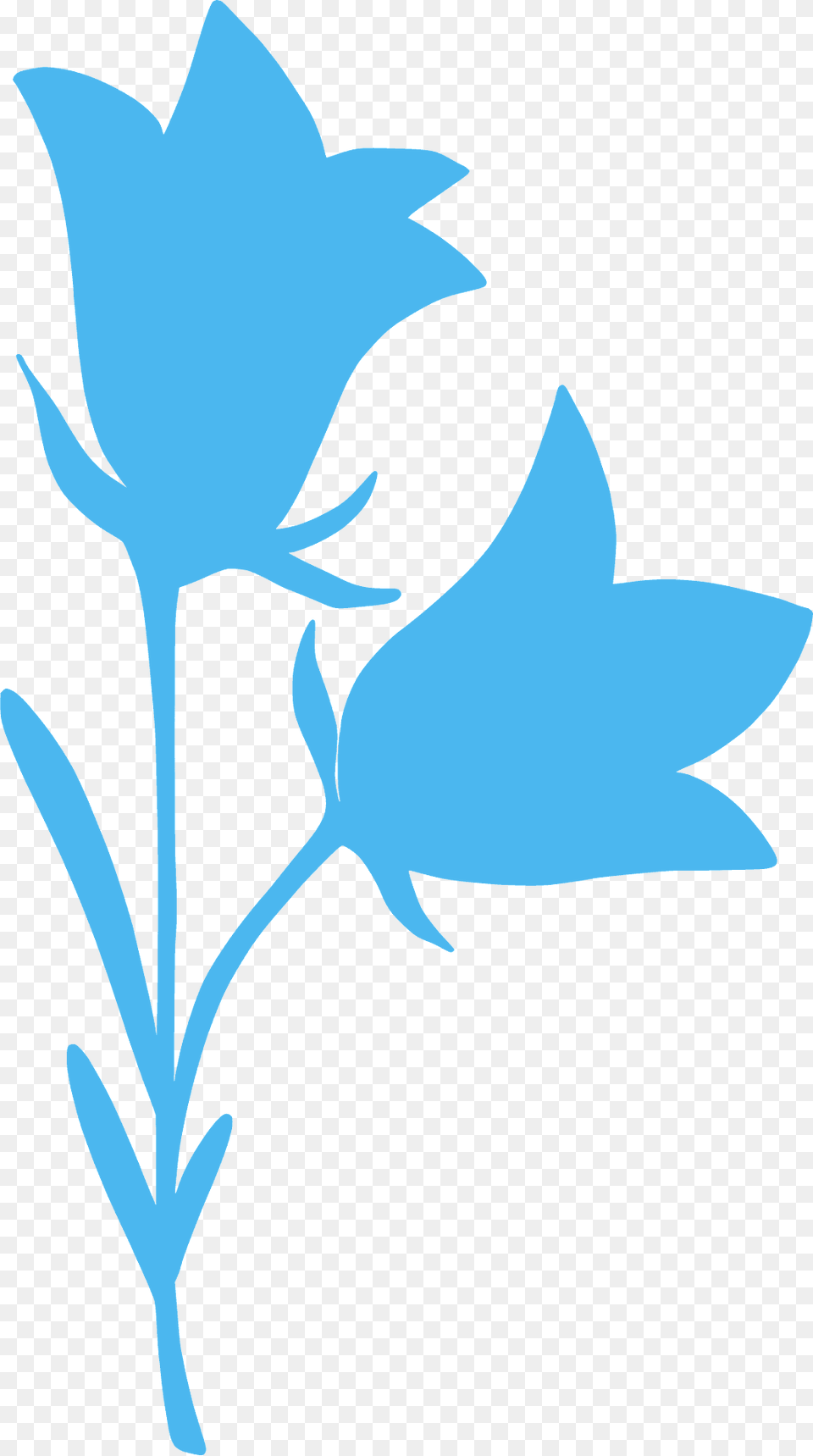 Bell Flower Silhouette, Leaf, Plant, Sea Life, Animal Png Image