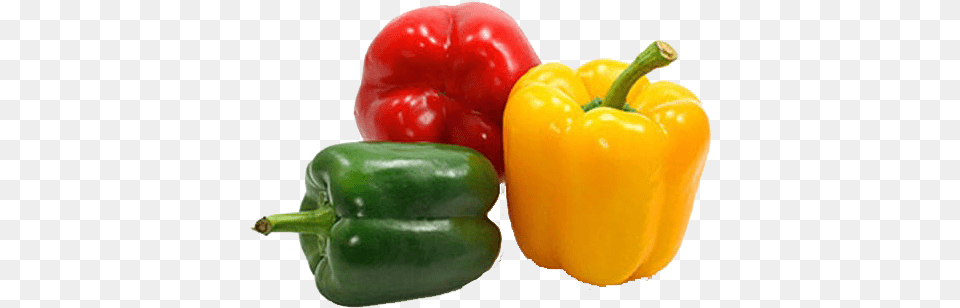 Bell Pepper Free Background Green Yellow And Red Peppers, Bell Pepper, Food, Plant, Produce Png Image
