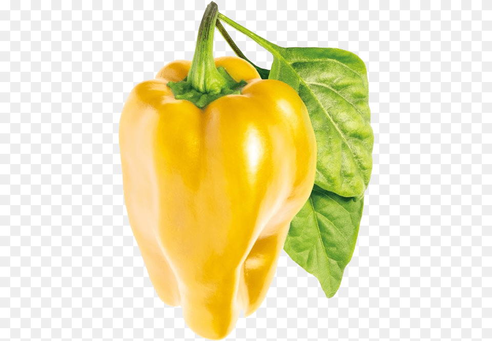 Bell Pepper Pic Sweet Yellow Bell Pepper, Bell Pepper, Food, Plant, Produce Free Transparent Png