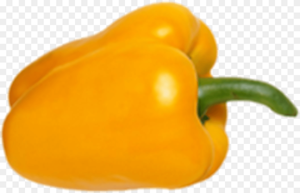 Bell Pepper Yellow Outer Stock Yellow Pepper, Bell Pepper, Food, Plant, Produce Free Png Download