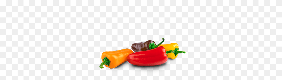 Bell Peppers Farms, Bell Pepper, Food, Pepper, Plant Free Png Download