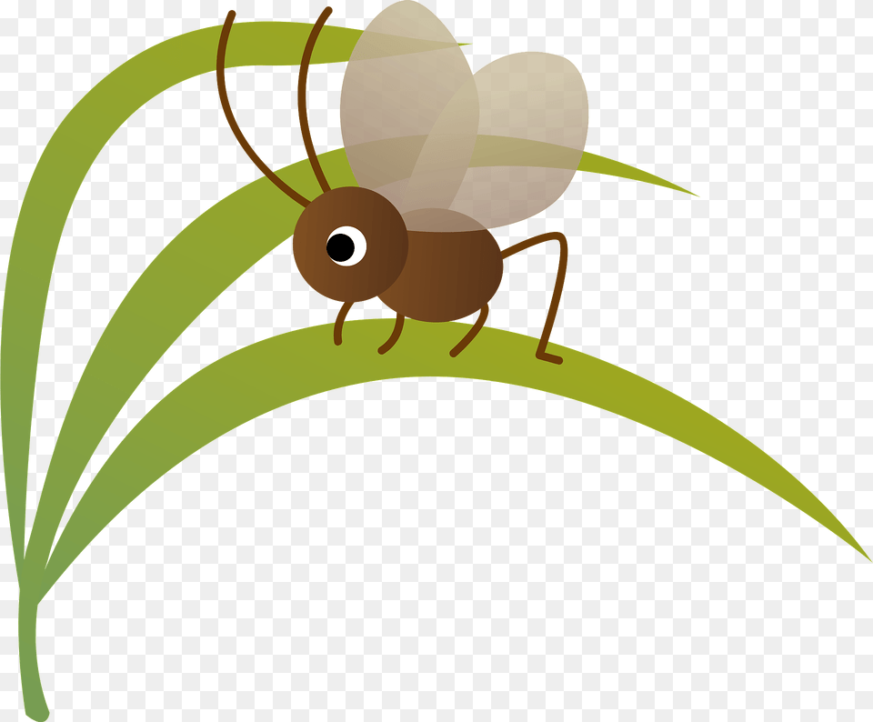 Bell Ring Cricket Insect Clipart, Animal Free Png Download