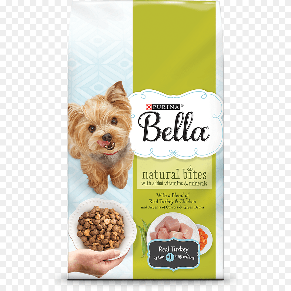 Bella Has Got My Picky Yorkie Eating Dog Food Agai Bella Dog Food, Animal, Canine, Mammal, Pet Png