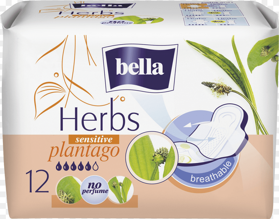 Bella Herbs, Herbal, Plant Png
