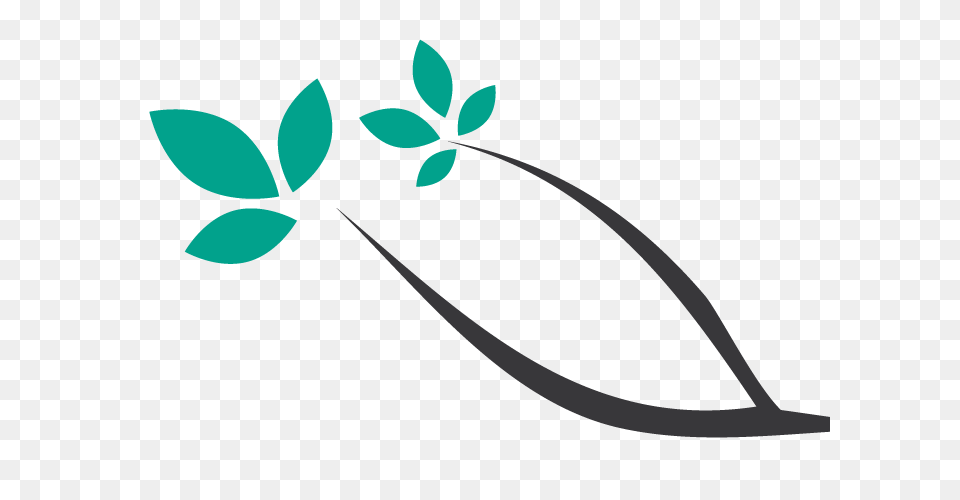 Bella Italia Genealogy Your Roots On The Ground Experience, Leaf, Plant, Potted Plant, Floral Design Png Image