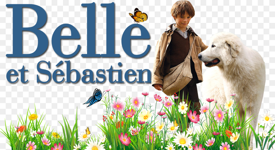 Belle And Sebastian Image, Spring, Outdoors, Nature, Pet Png