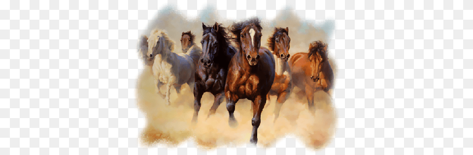 Belle Image Chevaux Manada De Caballos Corriendo, Animal, Herd, Colt Horse, Horse Png