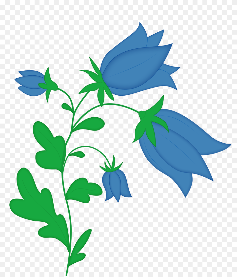 Bellflower, Art, Floral Design, Graphics, Leaf Free Png Download