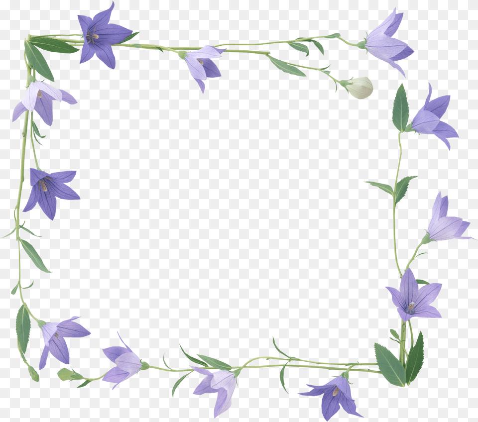 Bellflower Frame Flower Purple Transparent, Art, Collage, Plant Free Png