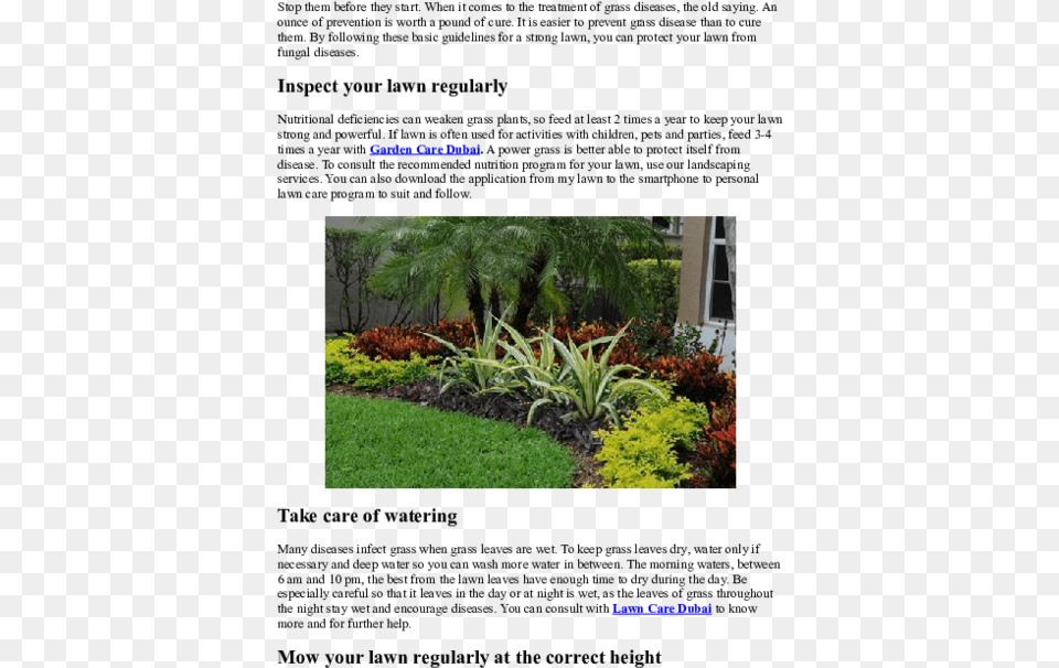 Bellos Jardines Tropicales, Backyard, Vegetation, Potted Plant, Plant Png
