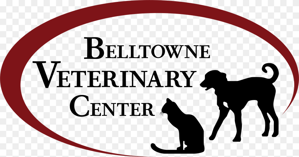 Belltowne Veterinary Year Of The Dog Traits Everyday Pillow, Silhouette, Animal, Canine, Mammal Free Png Download