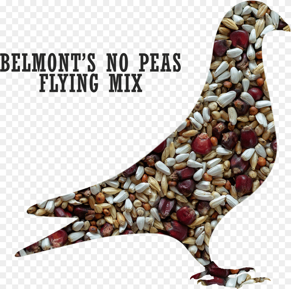 Belmont S No Peas Flying Pigeon Mixtitle Belmont Flyingpigeon, Food, Meat, Pork Free Png