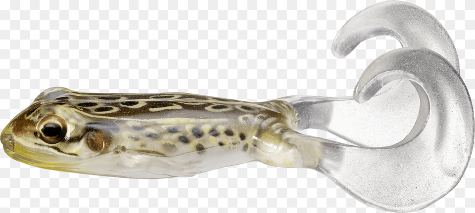 Beloniformes, Cutlery, Spoon, Animal, Sea Life Free Png Download