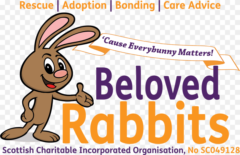 Beloved Rabbits Rabbit And Volunteer, Baby, Face, Head, Person Free Transparent Png