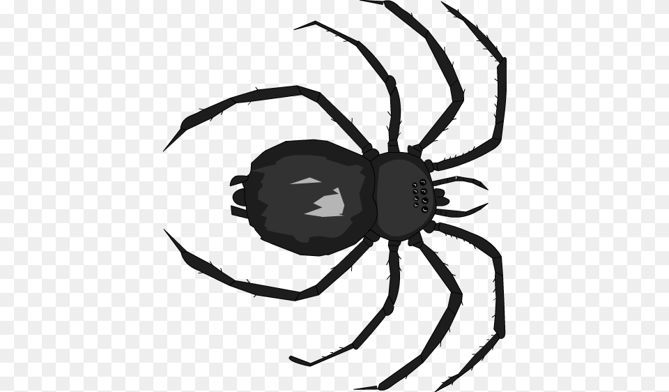 Below Is A Rendering Of The, Animal, Spider, Invertebrate, Plant Png Image