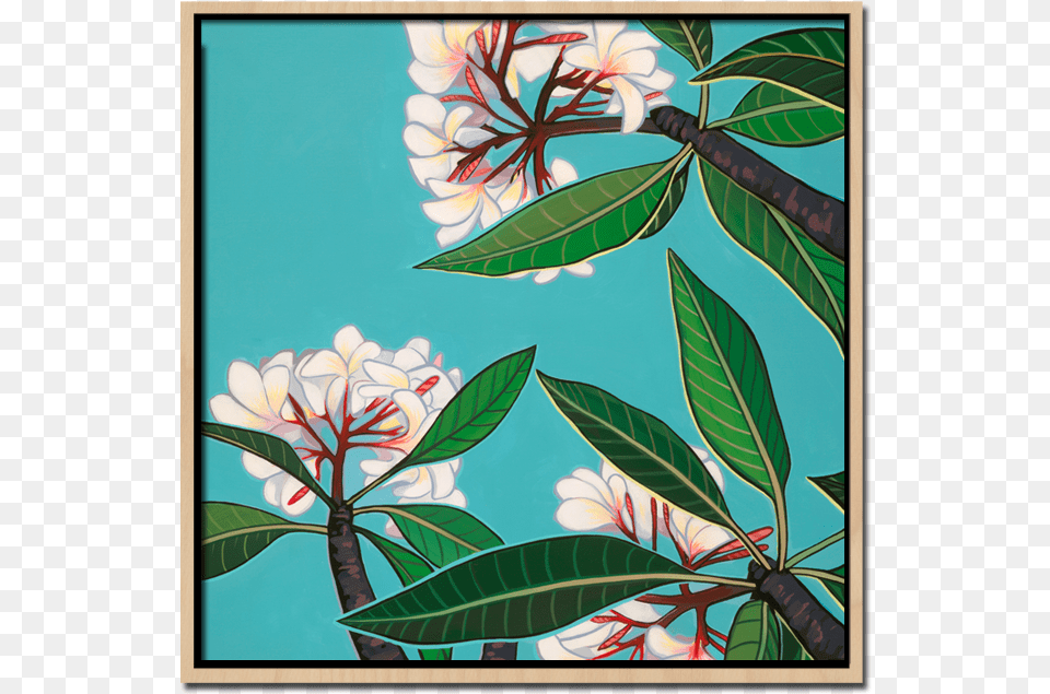 Below The Plumerias Frangipani, Art, Leaf, Plant, Painting Free Png