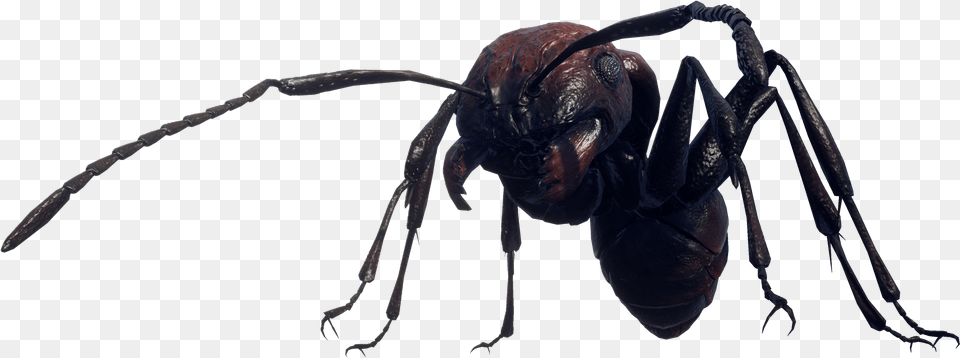 Below You39ll Find Some 70 Something Images From Earth Earth Defense Force, Animal, Insect, Invertebrate, Bee Png Image