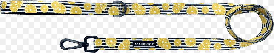 Belt, Accessories, Strap, Leash Free Transparent Png