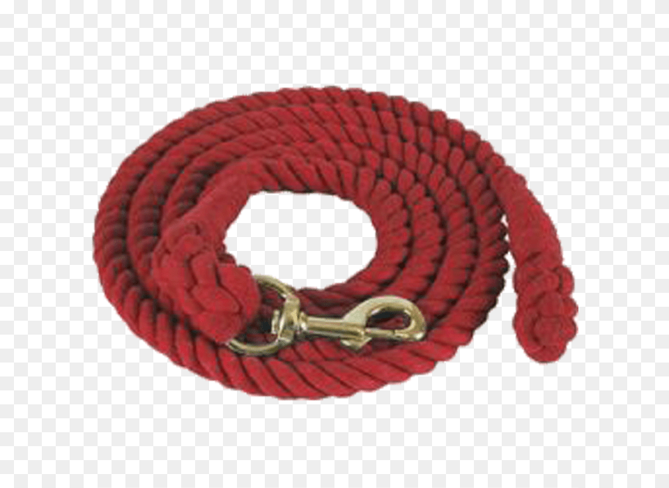 Belt, Rope, Leash, Animal, Reptile Free Transparent Png