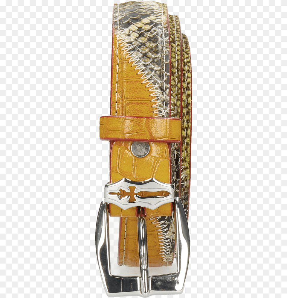 Belts Linda 2 Snake Yellow Hairon Halftone New Grass Belt, Accessories, Buckle Free Transparent Png