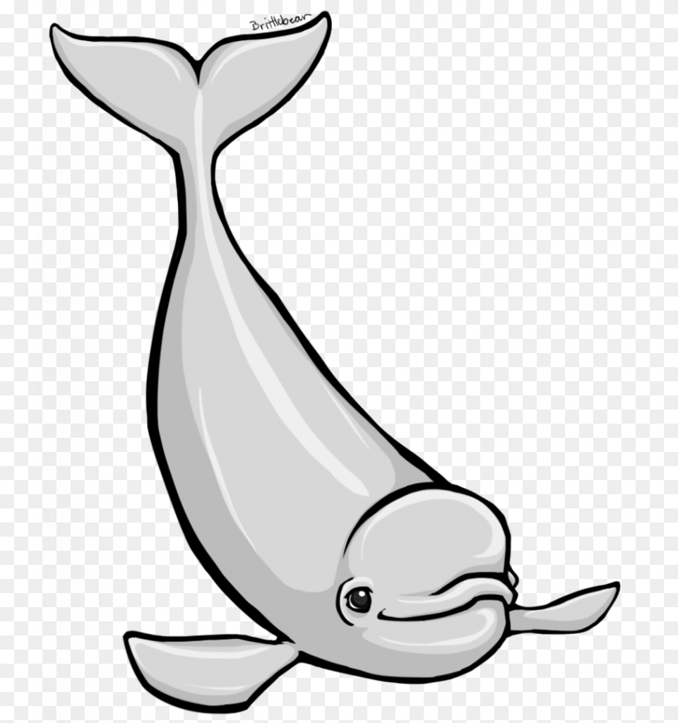 Beluga Clipart, Animal, Sea Life, Mammal, Beluga Whale Free Png Download
