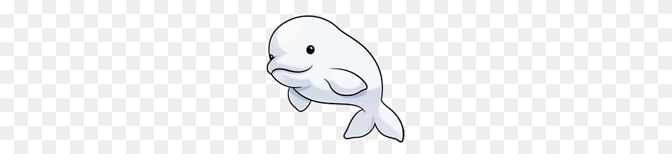 Beluga Clipart Whale Animals And Art, Animal, Sea Life, Beluga Whale, Mammal Free Transparent Png