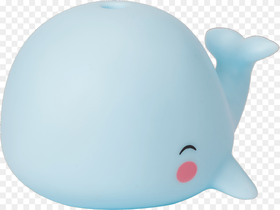 Beluga Whale, Piggy Bank Png Image