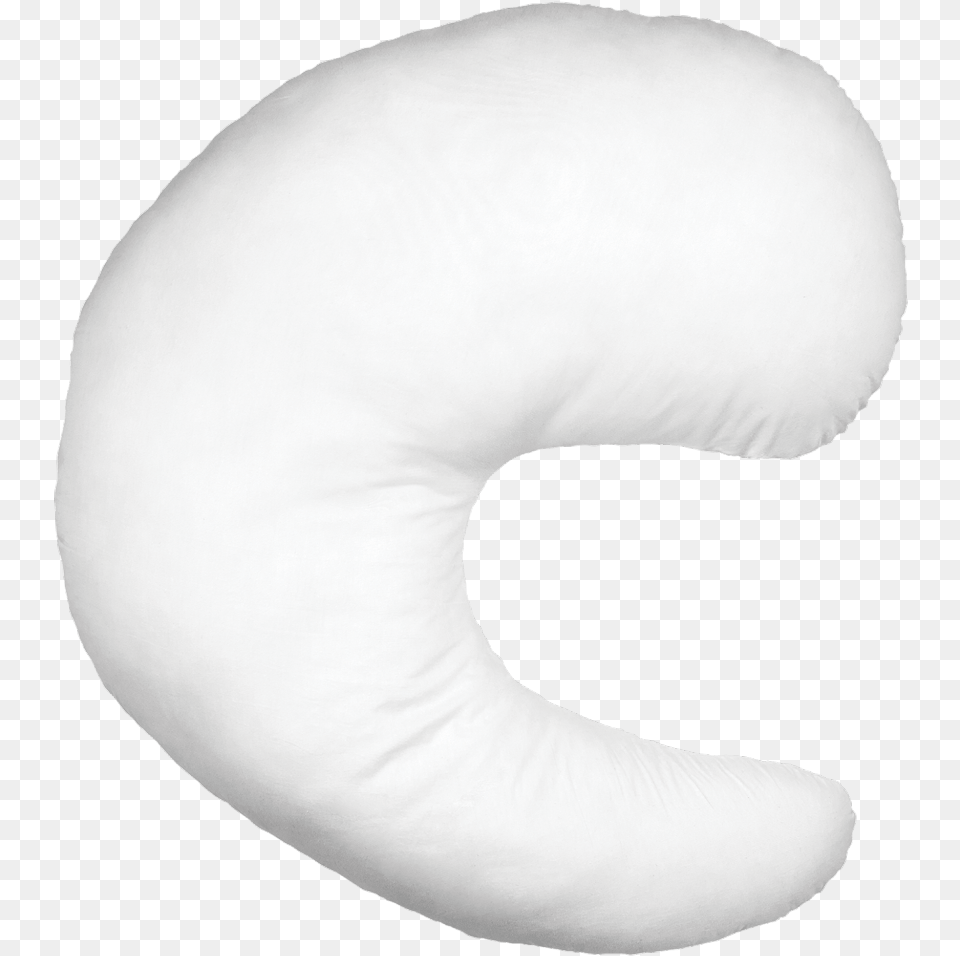 Beluga Whale, Cushion, Home Decor, Pillow, Clothing Free Transparent Png