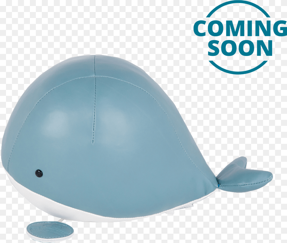 Beluga Whale, Cap, Clothing, Hat, Swimwear Png Image