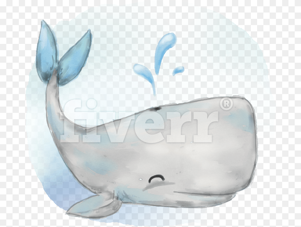 Beluga Whale, Animal, Sea Life, Mammal, Beluga Whale Free Png Download