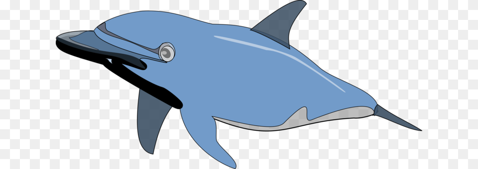 Beluga Whale Cetacea Blue Whale Sperm Whale Killer Whale, Animal, Dolphin, Mammal, Sea Life Free Transparent Png