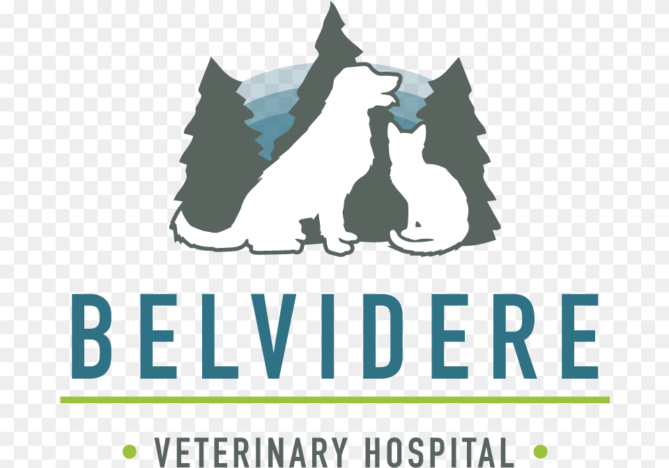 Belvidere Veterinary Hospital Jim Crow Colored Sign, Advertisement, Poster, Animal, Cat Free Png
