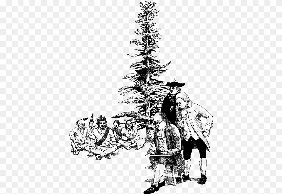 Ben Franklin Native American, Tree, Plant, Fir, Adult Png