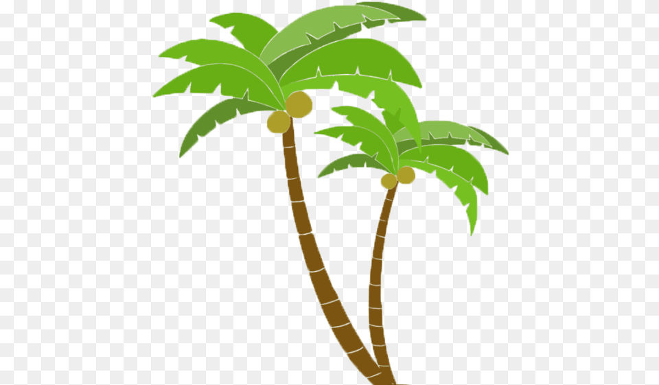 Ben Manley About Moana Palmeras, Leaf, Palm Tree, Plant, Tree Png