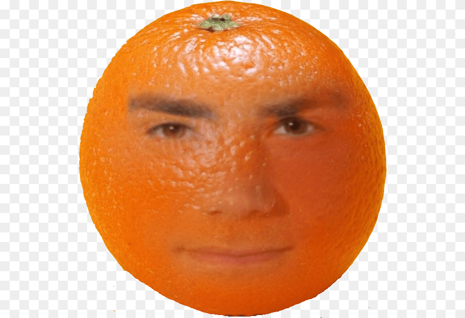 Ben Shapiro Annoying Orange Ben Shapiro Annoying Orange, Citrus Fruit, Plant, Produce, Fruit Free Transparent Png