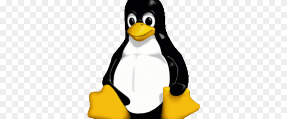 Ben Skev Linux Penguin Vector, Animal, Bird Png Image