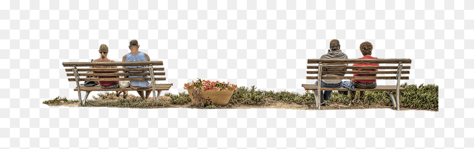 Bench Furniture, Plant, Potted Plant, Person Png Image