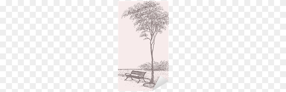 Bench In Park Near A Tall Tree Sticker Pixers Vector Graphics, Furniture, Art, Drawing Png Image