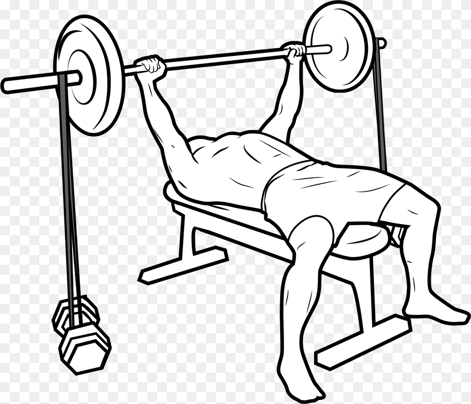 Bench Press Bench Press Bands, Bench Press, Fitness, Gym, Gym Weights Free Transparent Png
