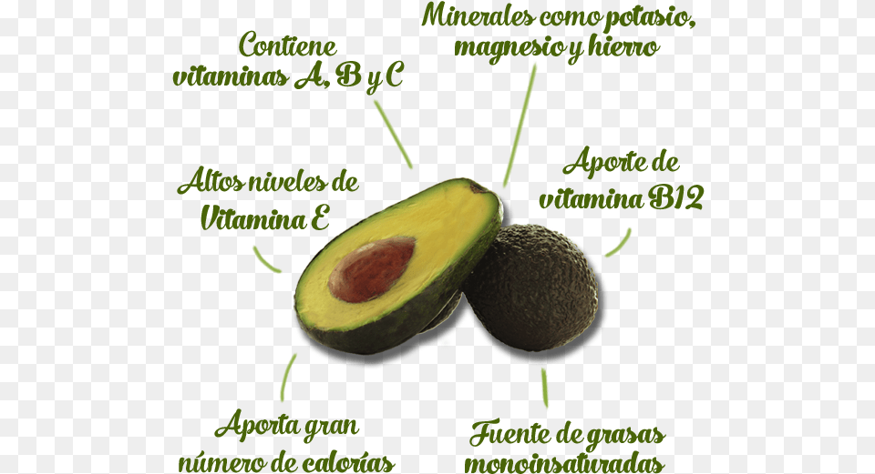 Bene Aguacate Vitaminas Tiene El Aguacate, Avocado, Food, Fruit, Plant Free Transparent Png