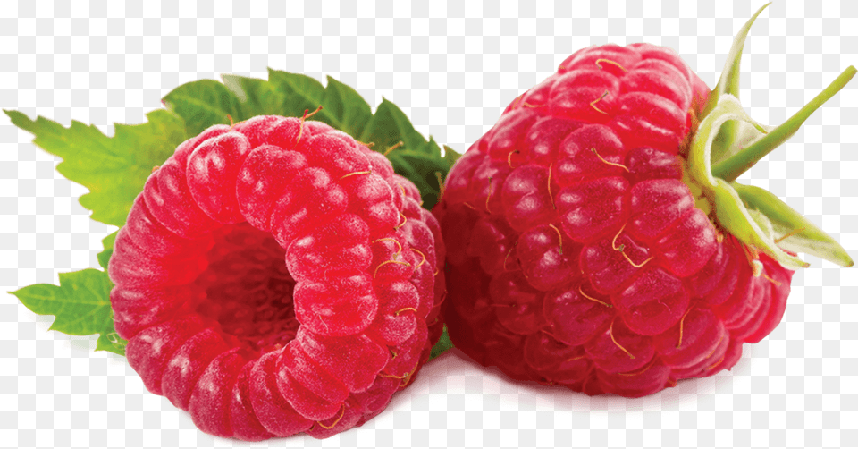Beneficios De La Mora Download Fumari Raspberry Swirl, Berry, Food, Fruit, Plant Free Png