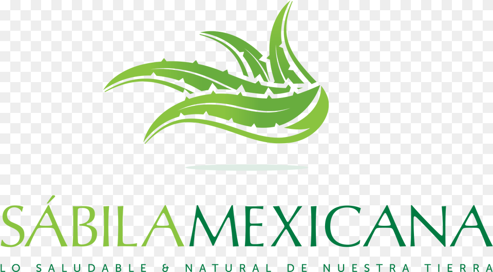 Beneficios Del Aloe Vera Arbor Lakes Dental Jamie L Sledd Dds, Green, Logo Png Image