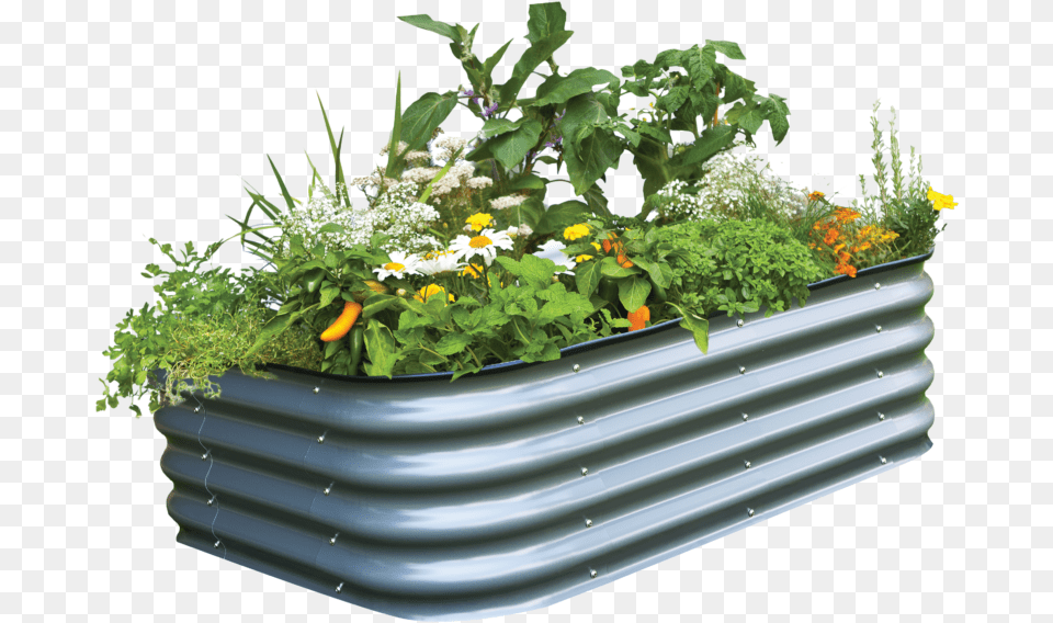 Benefits Of A Raised Garden Bed 6 In 1 Birdie Raised Bed, Vase, Pottery, Potted Plant, Planter Free Png Download