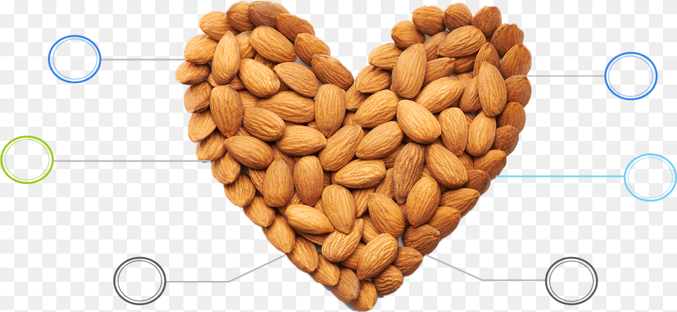 Benefits Of Almonds Almond, Food, Grain, Produce, Seed Free Png Download