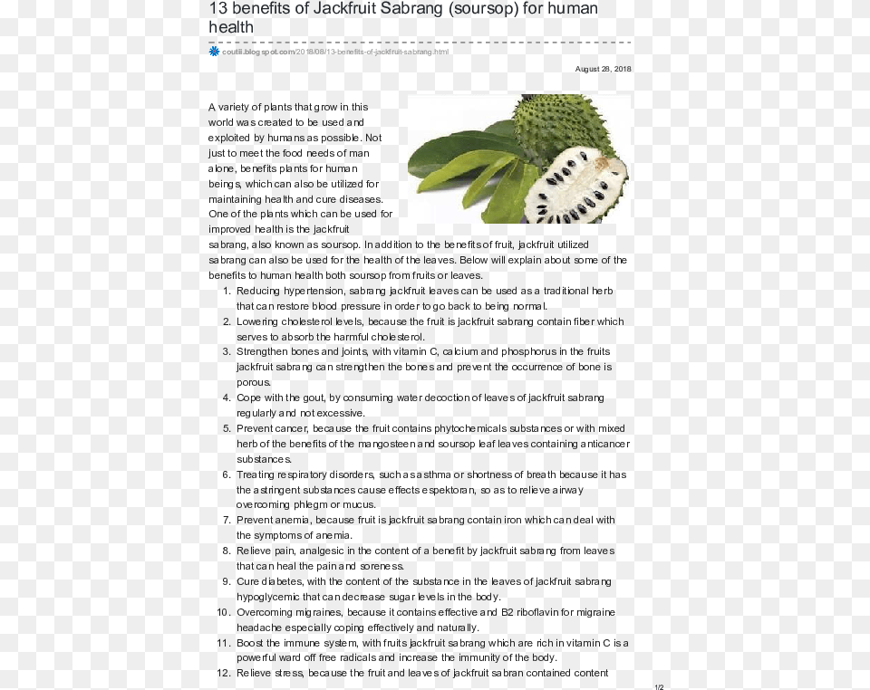Benefits Of Jackfruit Leaves, Food, Fruit, Plant, Produce Free Png Download