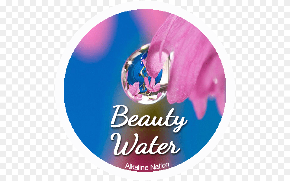 Benefits Of Kangen Water Sticker Kangen Water Logo, Droplet, Flower, Petal, Plant Free Png